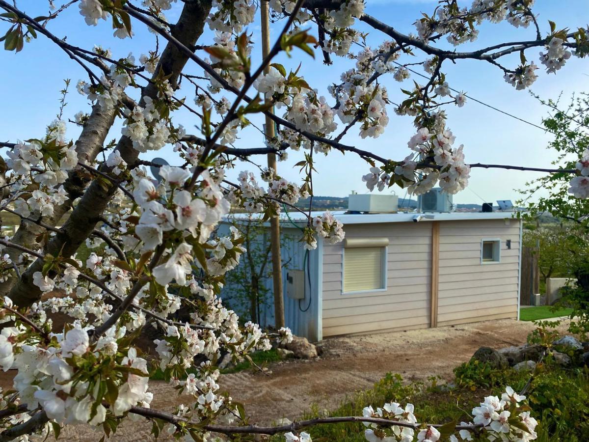 Ferienwohnung צימר המסה Mas'ada Exterior foto